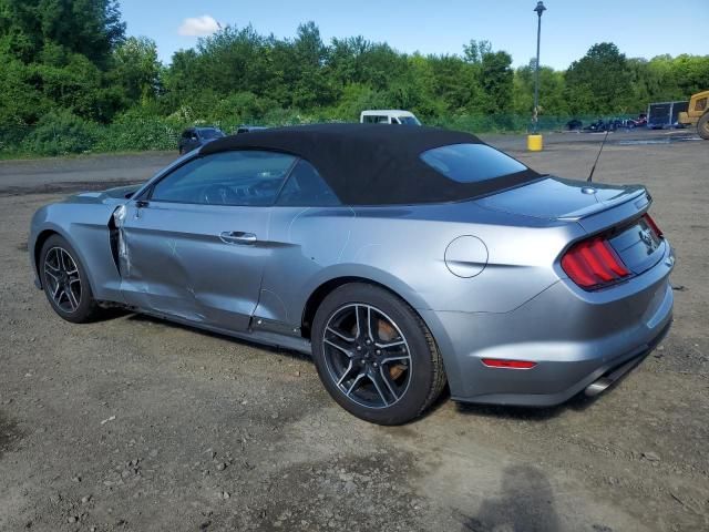 2022 Ford Mustang