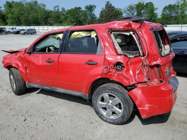 2009 Ford Escape XLT