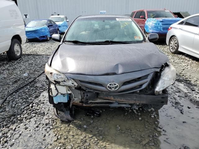 2011 Toyota Corolla Base