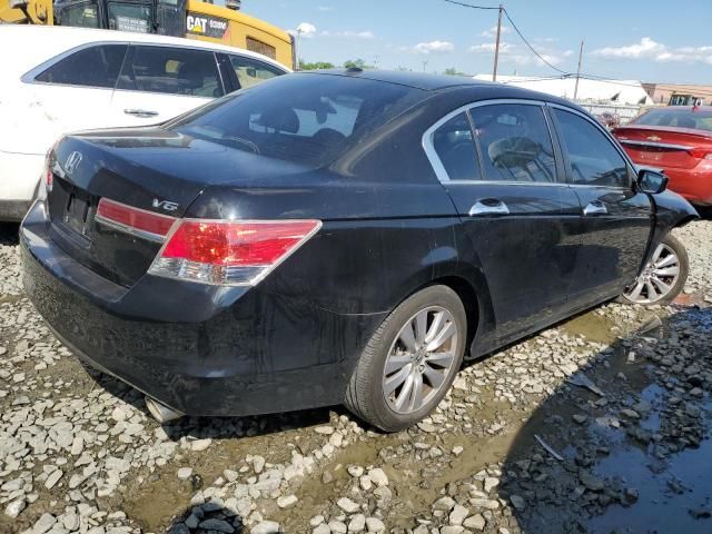 2011 Honda Accord EXL