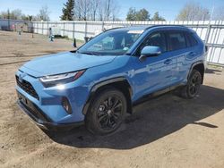 Vehiculos salvage en venta de Copart Bowmanville, ON: 2023 Toyota Rav4 SE