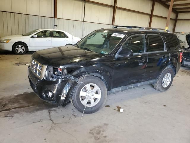 2010 Ford Escape Limited