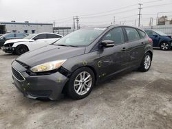 2015 Ford Focus SE for sale in Sun Valley, CA