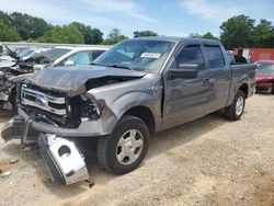 2013 Ford F150 Supercrew for sale in Theodore, AL