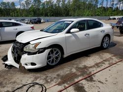 2010 Nissan Maxima S for sale in Harleyville, SC