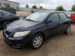 Toyota salvage cars for sale: 2009 Toyota Corolla Base