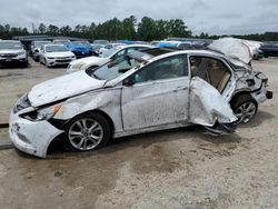 Hyundai Sonata Vehiculos salvage en venta: 2013 Hyundai Sonata SE