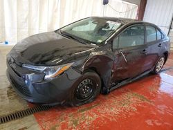 Salvage cars for sale from Copart Angola, NY: 2024 Toyota Corolla LE