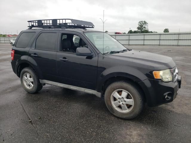 2009 Ford Escape XLT