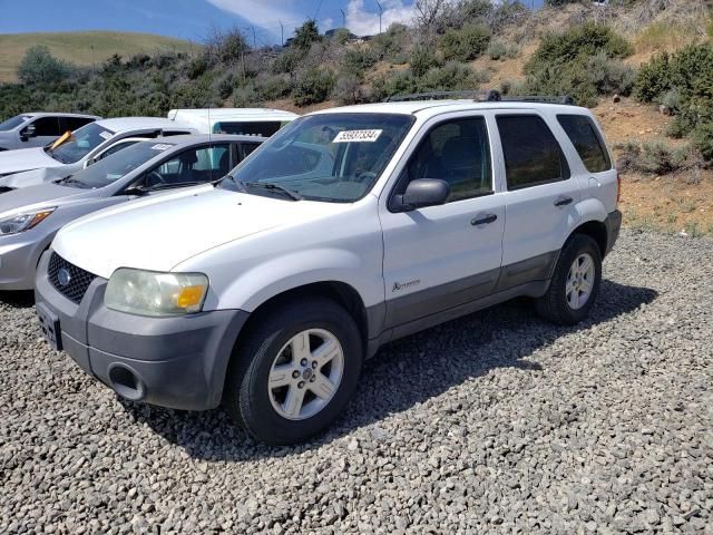 2006 Ford Escape HEV