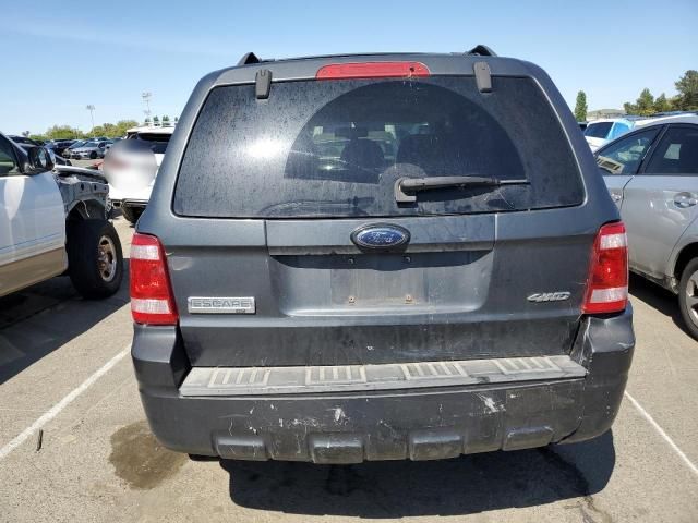 2008 Ford Escape XLT