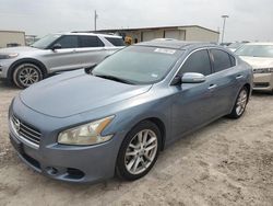 2010 Nissan Maxima S for sale in Temple, TX