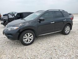 2014 Nissan Murano S for sale in Temple, TX