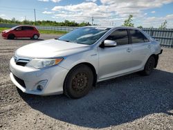 Salvage cars for sale from Copart Ottawa, ON: 2012 Toyota Camry Hybrid