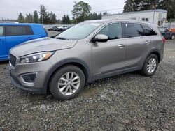 2017 KIA Sorento LX for sale in Graham, WA