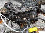 2006 Harley-Davidson Flhti