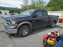 Salvage trucks for sale at Grantville, PA auction: 2010 Dodge RAM 1500