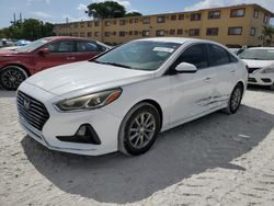 2019 Hyundai Sonata SE for sale in Opa Locka, FL
