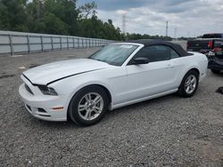 2014 Ford Mustang for sale in Riverview, FL