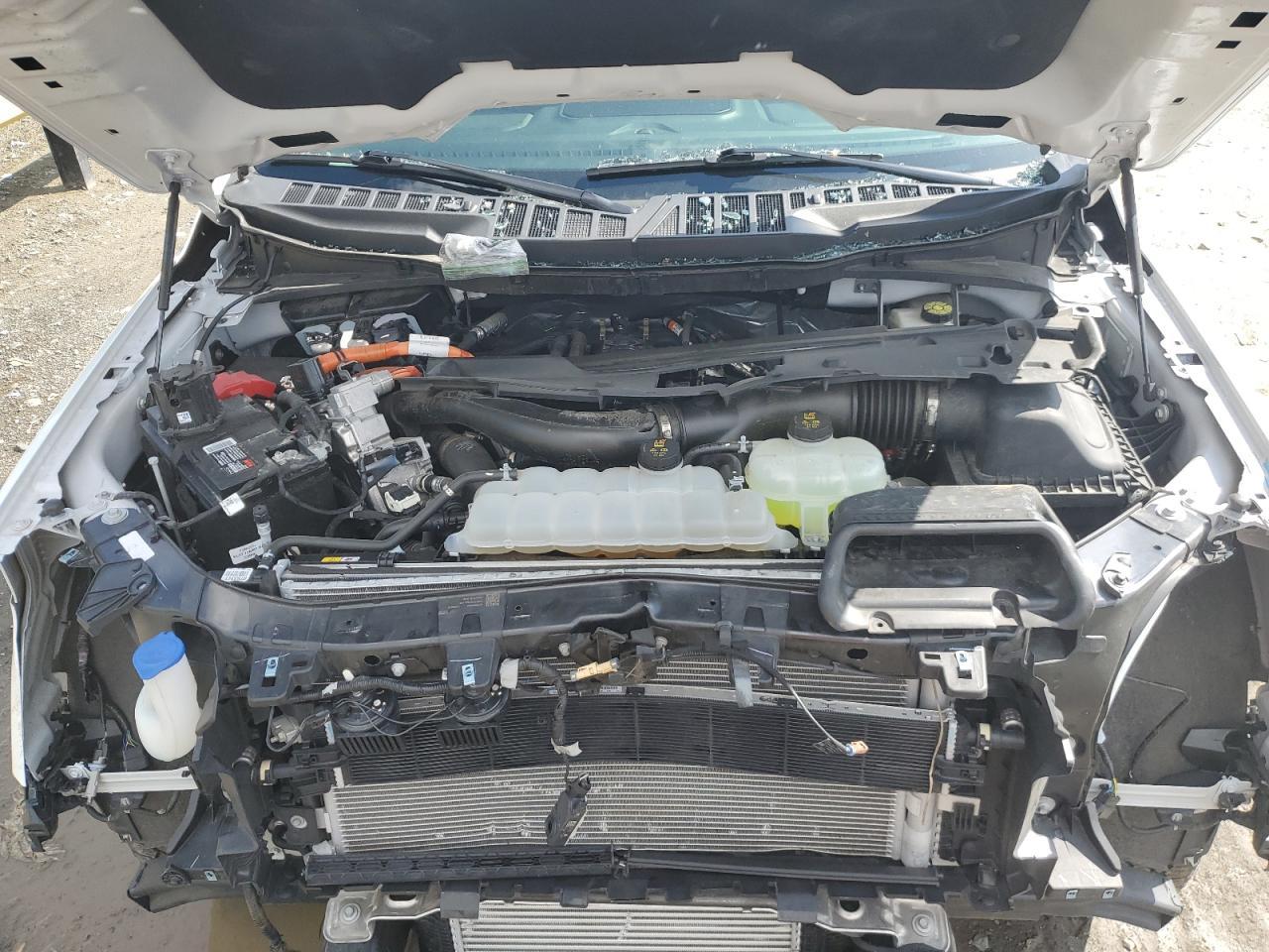 2024 Ford F150 xlt