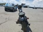2020 Harley-Davidson XL1200 NS
