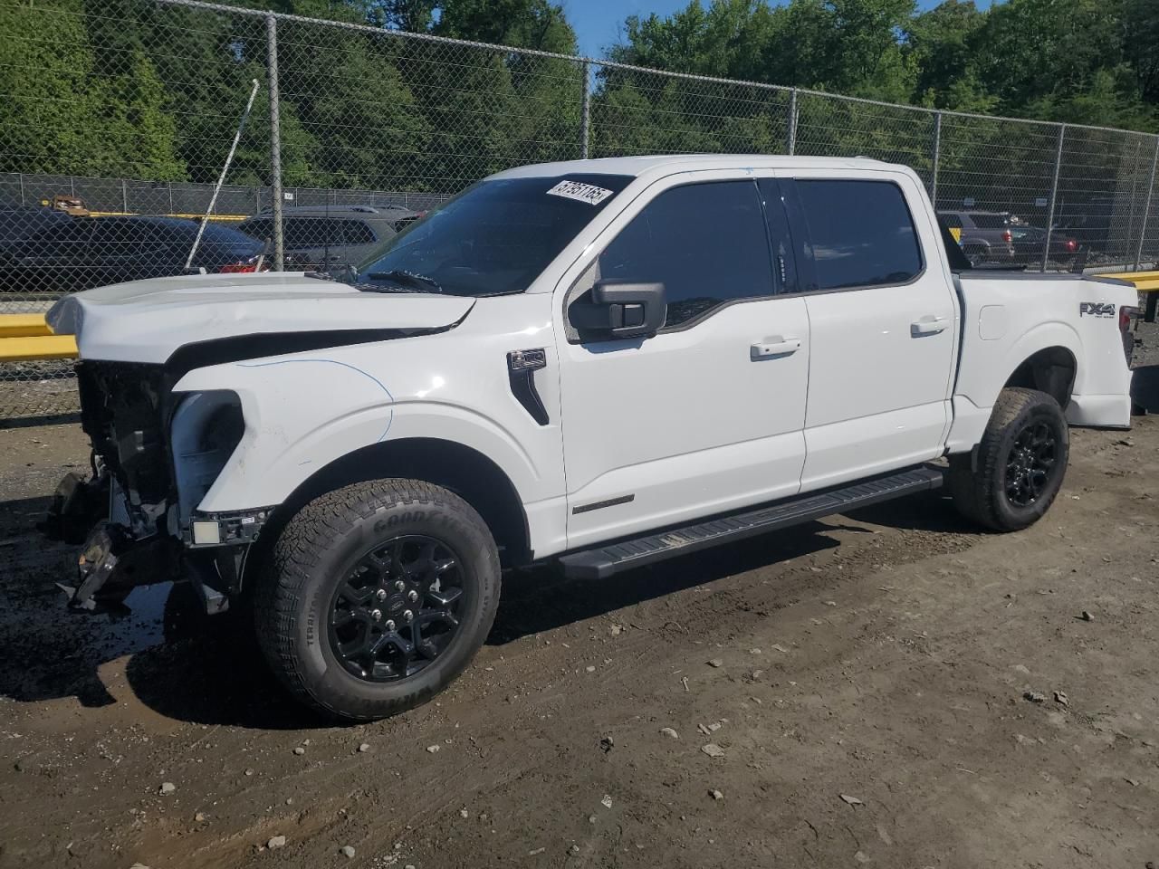 2024 Ford F150 xlt