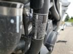 2024 Honda NC750 XD