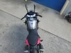 2024 Cf Moto 300SS