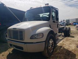 Salvage trucks for sale at Seaford, DE auction: 2017 Freightliner Chassis S2G