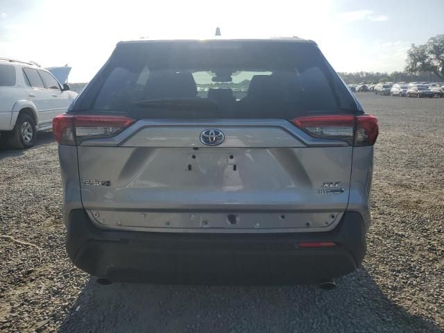 2024 Toyota Rav4 XLE