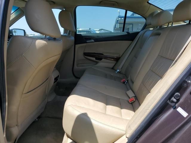 2011 Honda Accord EXL