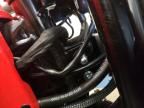 2024 Cf Moto Papio SS