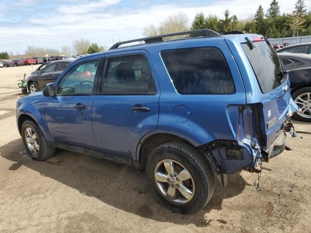 2010 Ford Escape XLT