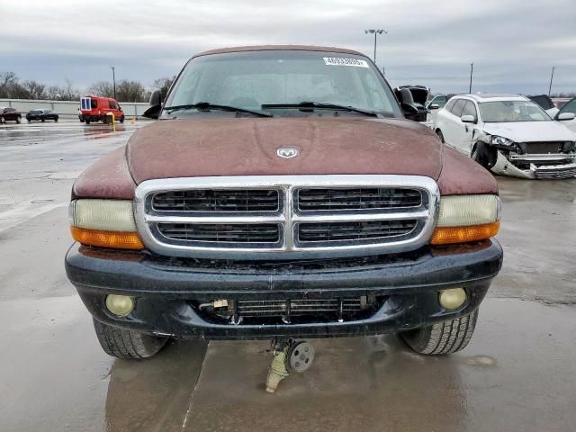 2002 Dodge Dakota Quad SLT