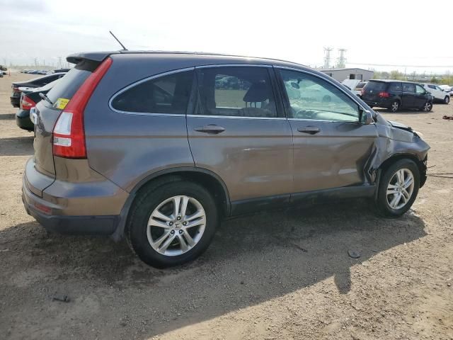 2010 Honda CR-V EXL