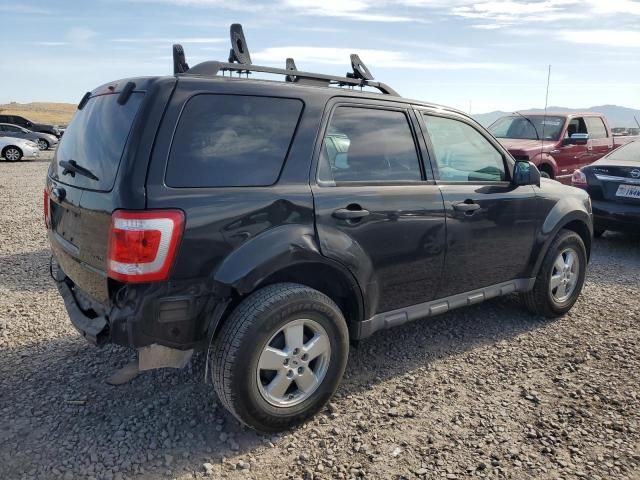2009 Ford Escape XLT