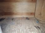 2007 Haulmark Enclosed Cargo Trailer
