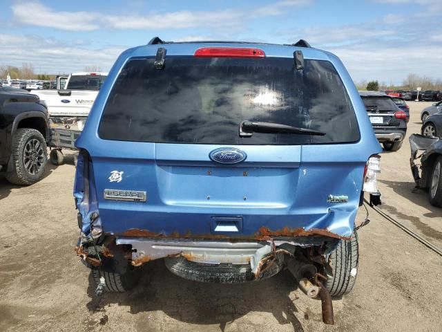 2010 Ford Escape XLT