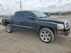 2005 Dodge Dakota Quattro