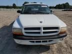 2001 Dodge Dakota
