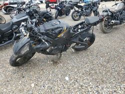 2023 Honda CB500 FA for sale in Greenwell Springs, LA