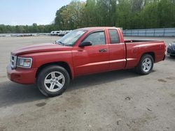 Salvage cars for sale from Copart Glassboro, NJ: 2008 Dodge Dakota SXT