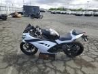 2017 Kawasaki EX300 B