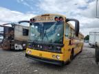 2005 Thomas School Bus