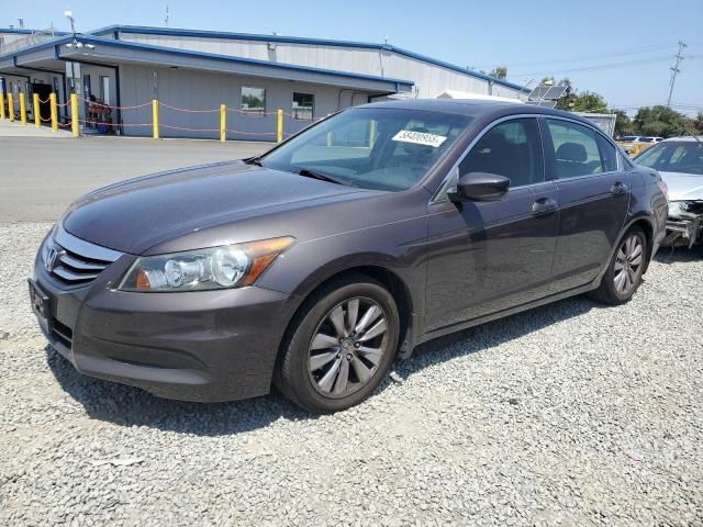 2011 Honda Accord EXL