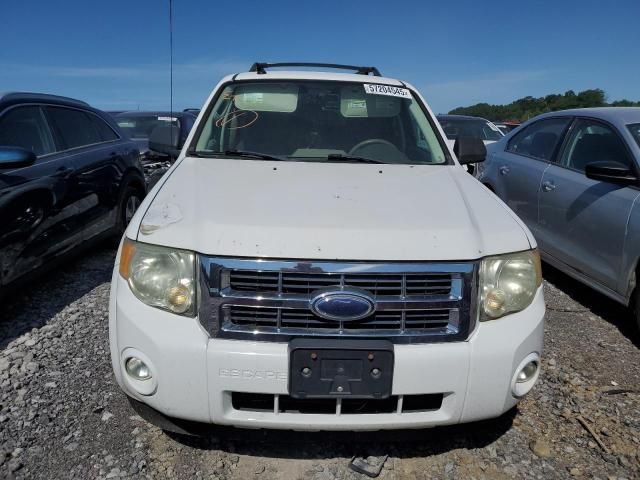 2009 Ford Escape XLT