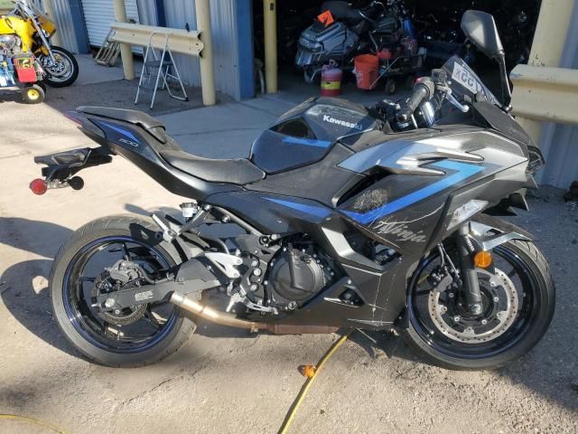 2025 Kawasaki EX500
