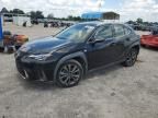 2019 Lexus UX 200