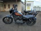 2020 Harley-Davidson XL1200 NS