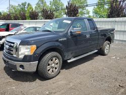 Ford Vehiculos salvage en venta: 2009 Ford F150 Super Cab